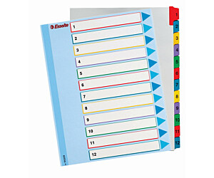 Przekładki kartonowe MYLAR A4 MAXI 1-12 ESSELTE 100209