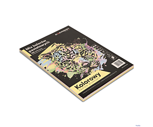 Papier xero A4 80g mix  100ark łos,bł,ziel,żół,mand.xem1000n EMERSON